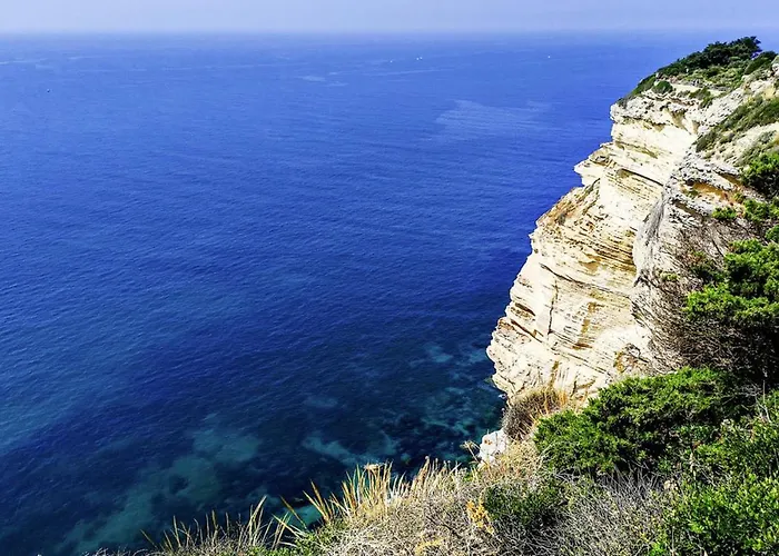 Romo * 콘일데라프론테라